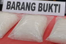 Polisi Sita 302 Gram Sabu dari Kurir di Desa Tempirai PALI