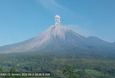 Gunung Semeru Erupsi 3 Kali Pagi ini, Ketinggian Kolom Abu Mencapai 1.000 Meter