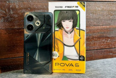 Ini 3 Rekomendasi HP Layar Besar Terbaik Harga 2 Jutaan, Diantaranya Tecno Pova 6