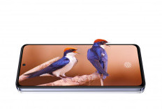 5 Fitur yang Membuat vivo Y100 5G Masih Layak Dibeli di 2026, Layar AMOLED 120Hz