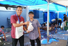 Maknai Iduladha 1446 H, PLN Hadirkan Kebahagiaan Lewat 2.811 Hewan Kurban