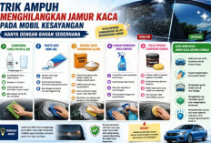 Trik Ampuh Menghilangkan Jamur Kaca Mobil Kesayangan Hanya dengan Bahan Sederhana