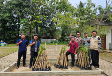 Transformasi Lahan Bekas Tambang Ilegal: PT Bukit Asam Tbk Dorong Ketahanan Pangan dan Kemandirian Desa Darmo