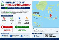 UPDATE Gempa M7,7 NTT: BMKG Resmi Cabut Peringatan Tsunami, Potensi Tsunami Berakhir