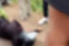 Lakalantas di Tanjung Barangan Palembang, Driver Ojol Tergeletak Diduga Dihantam Truk Angkutan Tanah 