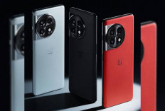OnePlus 11R Hadirkan Layar Panel Fluid AMOLED dengan Kecerahan 1450 Nits 