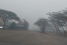 Kualitas Udara Palembang 2 Oktober 2026 Jadi Sorotan, Talang Betutu dan Musi 2 Berkategori Berbahaya