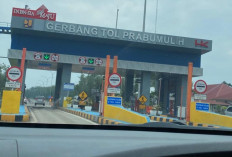 Syarat Mudik Gratis BUMN 2026 Terbaru: Resmi Dibuka dengan Kuota 100 Ribu Pemudik, Jangan Sampai Ketinggalan! 