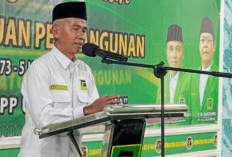 DPW PPP Sumsel Dukung Pemberhentian Waketum-Sekjen DPP PPP