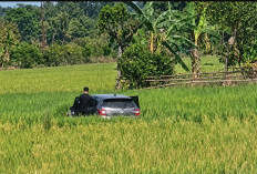 Bak Adegan Film! Kejar-kejaran Polisi dan Terduga Pengedar Narkotika Berakhir di Persawahan OKU Timur
