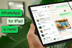 Kabar Gembira bagi Pengguna iPad, Kini WhatsApp Hadir Setelah Penantian Lebih dari Satu Dekade