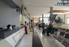 Pemutihan Pajak Berakhir 17 Desember, Masyarakat Dihimbau Manfaatkan Waktu Tersisa