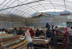 Perempuan Nasabah PNM Mekaar di Bandung Barat Kembangkan Usaha Lewat Sinergi Ultra Mikro BRI 