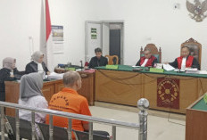 Live TikTok Adu Cupang Jadi Ajang Taruhan, Pasutri di Palembang Duduk di Kursi Pesakitan