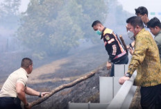 Gubernur Sumsel Tinjau Kebakaran Lahan di Dekat Tol Palindra Ogan Ilir, Pastikan Penanganan Cepat