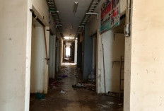 Wow, 163 Rolling Door Pasar Inpres Muara Enim Disikat ‘Rayap Besi’ Termasuk 24 Pintu WC 