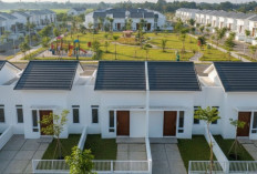 Cara Daftar Rumah Subsidi Perumnas 2026 Palembang: Syarat Gaji Maksimal dan Lokasi Terbaru