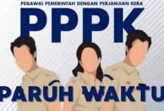 Wajib Tahu! Ini Sejumlah Alasan Bisa Jadi Penyebab PPPK Paruh Waktu Dipecat