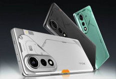 Ponsel Terbaru Tecno Pova Curve Disupport Kamera Utama 64 MP dengan Sensor Sony IMX682