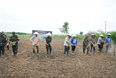 Desa Benawa OKI Lokasi Tanam Padi Perdana  Program Cetak Sawah