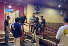 Atap Bangunan di 5 Ulu Digulung Pencuri, Hanya 2 Hari Pelaku Bertopi Diciduk Polisi  