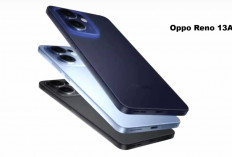 RESMI! Oppo Reno 13A Meluncur: Unggulkan Layar AMOLED 120Hz serta Baterai Jumbo, Ini Spesifikasi Lengkap!