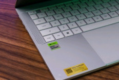 Bedah Kehebatan Jeroan ASUS ProArt P14 dan P16: Laptop Monster Editing Video Primadona Konten Kreator