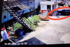 ﻿Parkir di Kafe, Dua Pelaku Terekam Kamera CCTV Pecahkan Kaca Mobil Korban Gasak Barang Berharga 