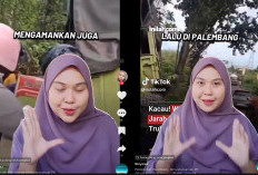 Wanita Ini Ngotot Truk Kecelakaan Dijarah Lokasinya di Palembang, Padahal Konten Kreator Lain Sudah Minta Maaf