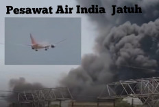 Pesawat Air India Jatuh Sesaat Setelah Lepas Landas di Ahmedabad, 242 Penumpang Diduga Tewas