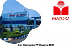 7 Hal yang Harus Diperhatikan Saat Mencari Informasi Lowongan Kerja