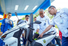Pusri Palembang Resmikan RECS Berbasis PLTS, Siap Layani Kendaraan Listrik