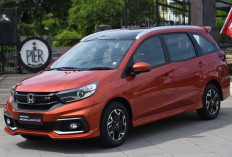 Update Harga Mobil Seken Honda Mobilo di 2026: MPV Primadona yang Bikin Kaum Emak-Emak Terpesona 