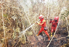Karhutla SM Padang Sugihan Ditinjau Menhut Kolaborasi Multipihak Perkuat Pemadaman