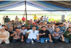 Anggota Fraksi Partai Demokrat DPRD Luwu Utara Hadiri Pesta Panen di Sabbang