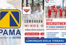 Dibuka! Lowongan Kerja Terbaru PAMA, Wings Group dan PT Elnusa Tbk dengan Beragam Posisi Menarik