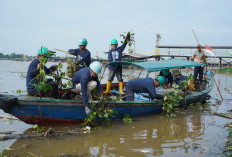 Aksi Bersih Sungai dan Dermaga Pusri Sambut World Cleanup Day 2025