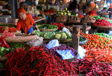 Gak Perlu Kulkas, Begini Cara Menyimpan Bahan Sembako agar Awet Berbulan-bulan