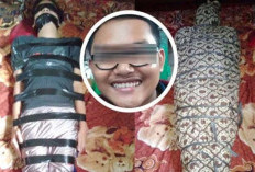 Kelainan Seksual pada Benda Mati Jadi 'Hobi' Gilang Bungkus hingga Kini Berulah Lagi, Modusnya Sama