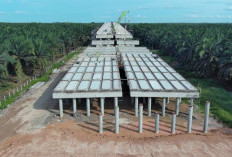 Sambungkan Jalan Tol Trans Sumatera, HKI Kerjakan Tol Betung-Jambi Seksi 2A dan 2B