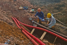 Petugas PLN UP3 Berjibaku Pulihkan Infrastruktur di Tanjung Api-api Akibat Karhutla
