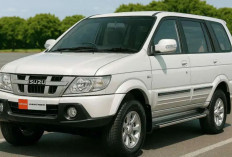 Isuzu Panther lawas: Mobil Bekas 30 Jutaan dengan Posisi Air Intake Tinggi, Aman Terjang Banjir Sebetis