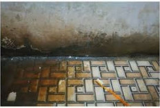 Tak Perlu Cairan Mahal, Begini Cara Membersihkan Lumut Kamar Mandi dengan Cuka dan Sabun Cuci Piring