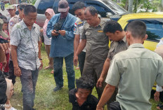 Meresahkan Warga ODGJ di Kayuagung Diamankan Pol PP, Termasuk Anak Punk dan Gelandangan