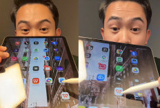 Pengguna iPad Pasti Happy, Akhirnya Apple Rilis WPS PC Level di iPad Gratis, Sudah Setara MacBook 