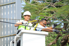 Kick Off Penataan Kabel Internet, Ratu Dewa: Palembang Bebas Kabel Semrawut