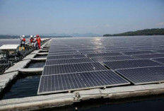 Fakta Unik yang Jarang Diketahui: Indonesia Ternyata Punya PLTS Terapung Terbesar di Asia! 