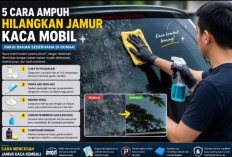 Jamur Membandel di Kaca Mobil Bisa Hilang dalam Hitungan Menit, Cukup Pakai 5 Bahan Ini
