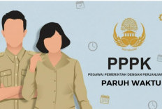 Wajib Tahu! Kekurangan PPPK Paruh Waktu Meski Berstatus ASN