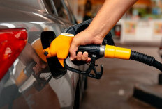  Cocok Buat Silaturahmi Lebaran 2026, Ini 5 Rekomendasi Mobil Irit BBM dan Mesin Bandel 